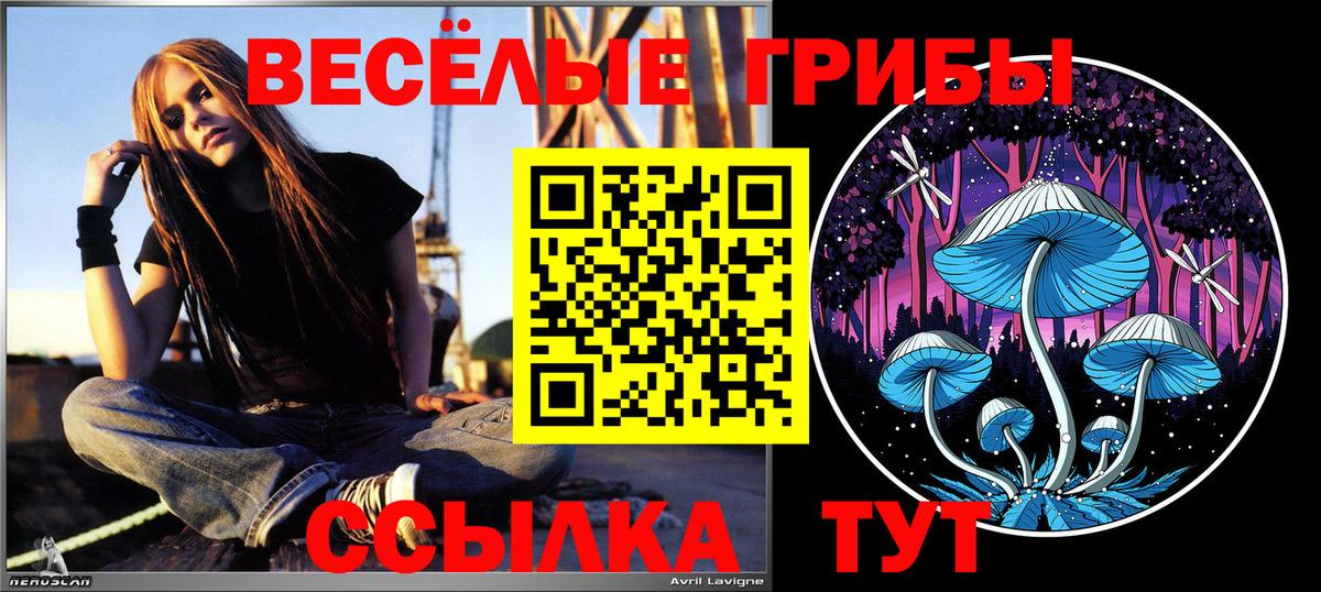 Галлюциногенные грибы Psilocybine cubensis  Галлюциногенные грибы MAGIC MUSHROOMS  Вход с VPN  Феодосия 